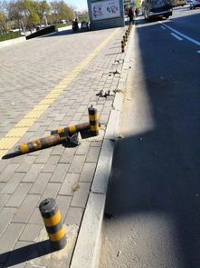 機場地區(qū)交通設施“微整形”，出行更便捷